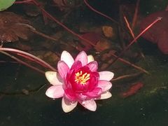 -白马涧龙池景区