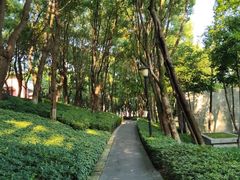 -重庆市江北嘴中央商务区中央公园
