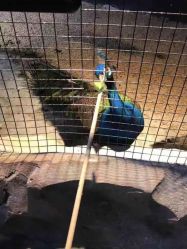 -酷嗒动物文化乐园(cutezoo西溪乐天城店)