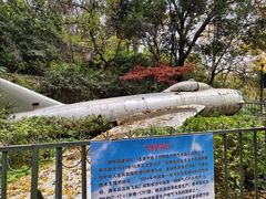 -伯先公园