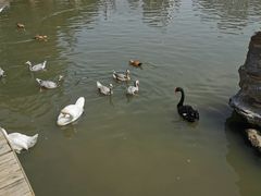 -青藏高原野生动物园