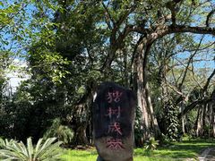 -瑞丽独树成林风景区