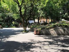 -伯先公园