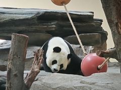 -宁波野生动物园