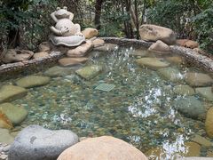 -天目湖涵田半山温泉