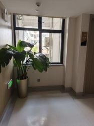 -云南吴氏嘉美医疗美容医院