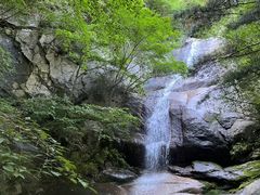 -王顺山国家森林公园