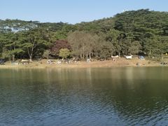 -东莞植物园