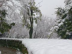 -橘子洲景区