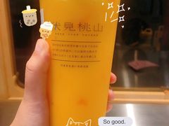 -伏小桃(明瓦廊店)