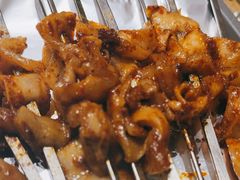 熙成特色宫后筋-熙成烧烤(白塔岭店)
