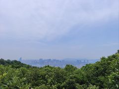 -惠山国家森林公园
