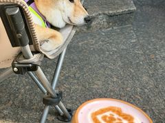 -HANA COFFEE(长寿路店)