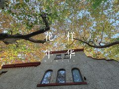 -上海和平饭店龙凤厅 Dragon Phoenix