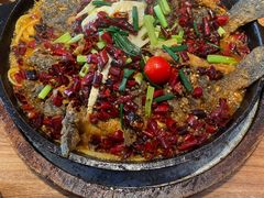 -老板恋上鱼(恒隆广场店)