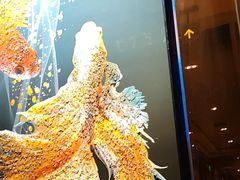 -GalaCity上海歌城(杨浦百联店)