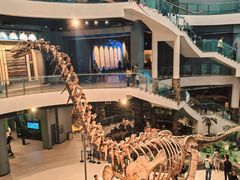 -辽宁古生物博物馆