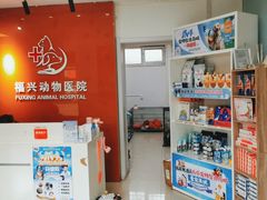 -瑞派福兴宠物医院犬猫全科·骨科·中西医结合(河东店)