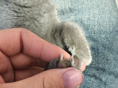 -酷宠动物医院(天通西苑店)