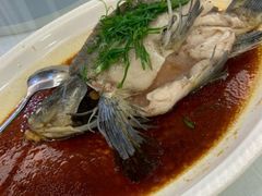 -紫羅蘭酒家(万江石美店)