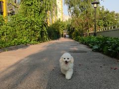 -达爱动物医院·犬猫分区·CT·复杂眼科(远洋山水分院)