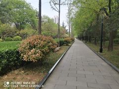 -唐城墙遗址公园
