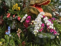 -沈阳植物园