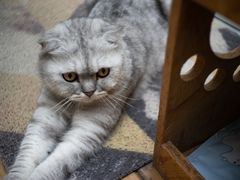 -拾壹cafe·工作室
