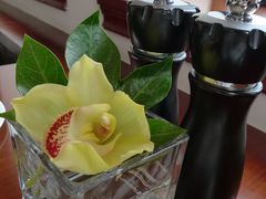 -上海和平饭店-华懋阁 The Cathay Room