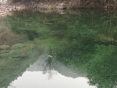 -白云源风景区