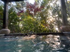 -天目湖涵田半山温泉