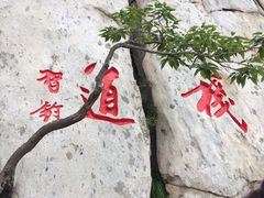 -嵩山少林文化旅游景区