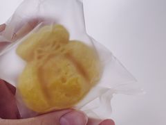 奶黄月饼-一只小云朵a little cloud