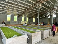 -帐篷客·溪龙茶谷度假酒店