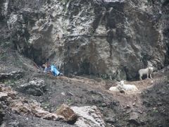 -神农溪纤夫文化旅游区
