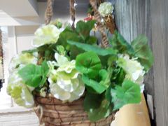 -老爷子餐厅·明星私房菜