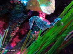 -沈阳海洋探索中心