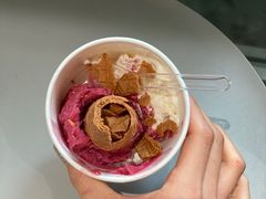 -Dip in Gelato(富民路店)