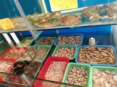 -宁波小海鲜(秀文路店)