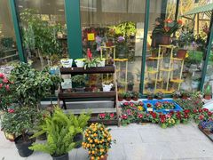 -新江湾城公园