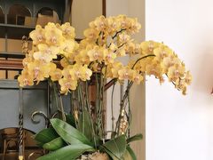 -Sheee Cafe restaurant(青林湾店)