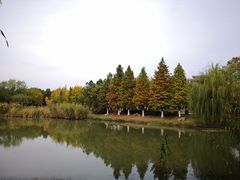 -江南大学(蠡湖校区)