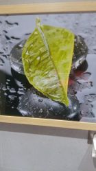 点击看大图 -芳朵美容养生SPA