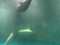 -青岛海底世界-水族馆