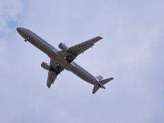 -空港花田景区