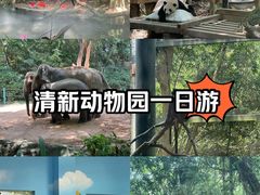 -广州长隆野生动物世界