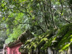 -青城山