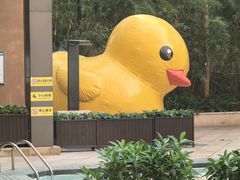 -深圳富临大酒店