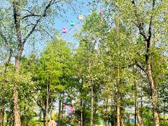 -洋湖国家湿地公园