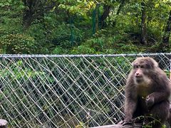 -西岭雪山大飞水景区